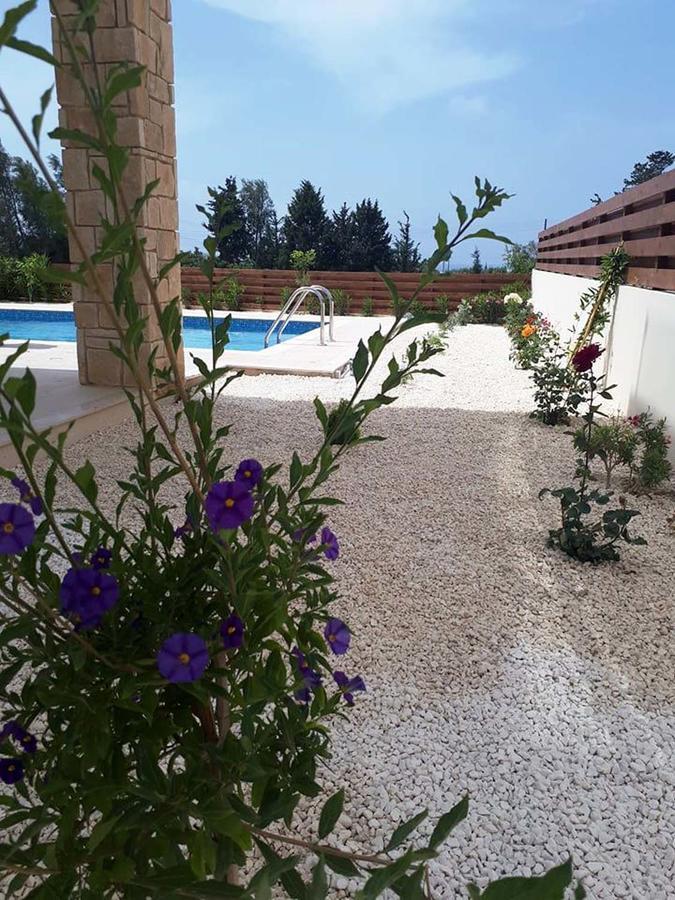 Olivia Villa 63 Paphos Exterior photo